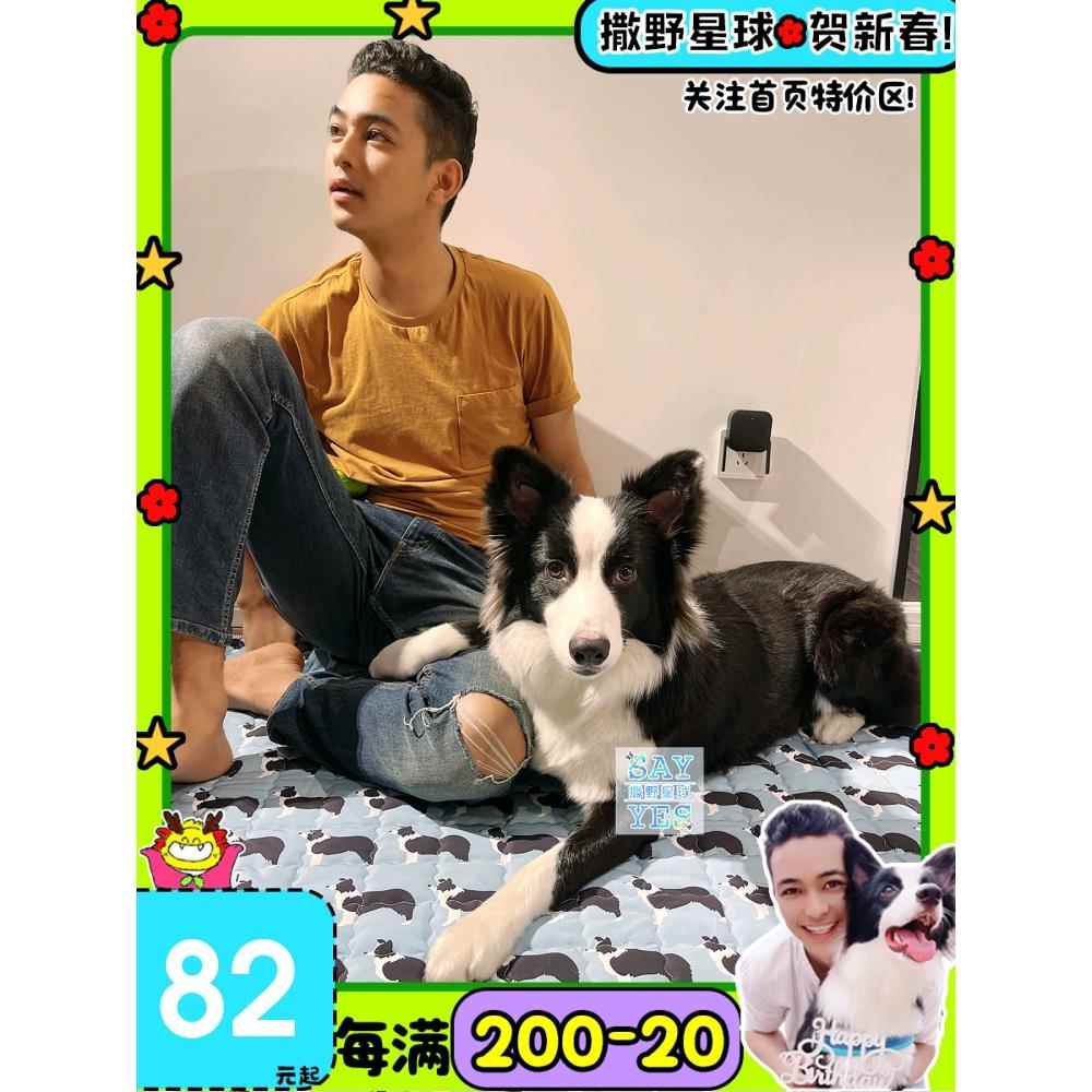 撒野星球狗狗超大防滑水地宠物垫