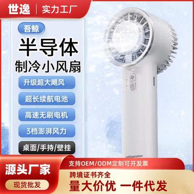 充电款小型手持便携式半导体冰敷制冷小风扇高速迷你usb风扇跨境