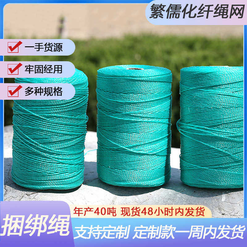 大棚压膜绳pe绳 聚乙烯塑料绳吊秧捆绑绳 压膜刹车捆绑绳,居家布艺,绳子,淘宝优惠券,粉丝福利购,淘宝优惠卷