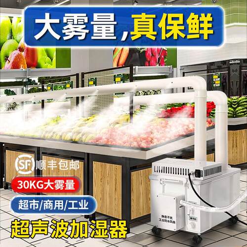 工业加湿器大雾量大型车间喷雾化超音波小加湿机工业仓库蔬菜保鲜