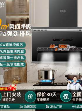 抽油烟机 家用大吸力厨房电器欧式侧吸式7字型体感自动清洗油烟机