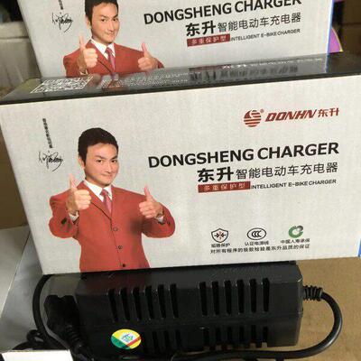 东升充电器方孔12v24v48v20a水泵电动车电池铅酸电瓶专用
