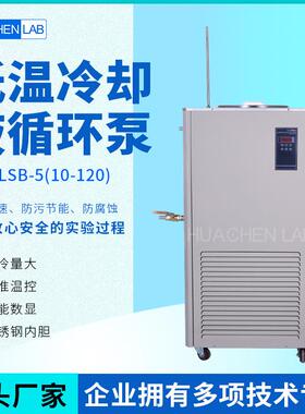 DLSB-5/20/40/80/1205升低温冷却液循环泵循环装置制冷泵低温泵