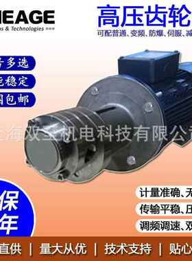 高压齿轮化工泵精细化工造纸齿轮计量泵SHEAGESG703-CS