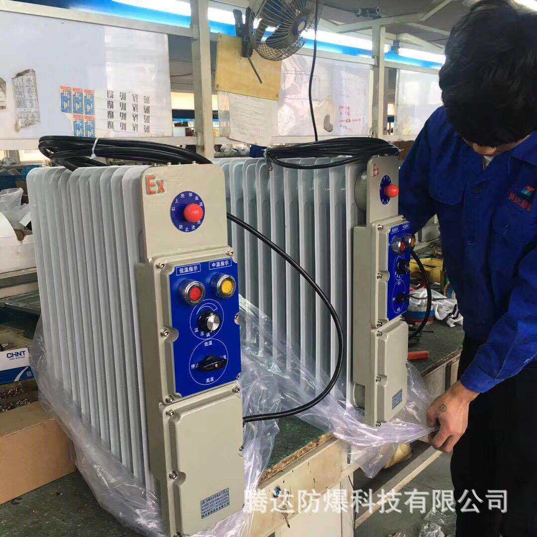 厂家供应13片防爆电加热油汀片组装防爆取暖器防爆电暖器