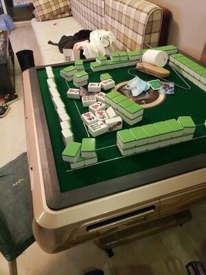 喜仕捷全自动麻将机怎么样一周体验后悔了是吗?