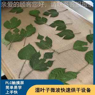 桑叶微干燥微杀虫脱水 工业化全自动蔬菜波波632烘干机设备