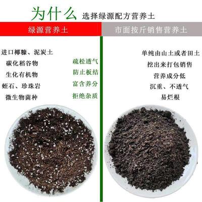 Potting soil organic soil, succulent soil, vegetable soil, s