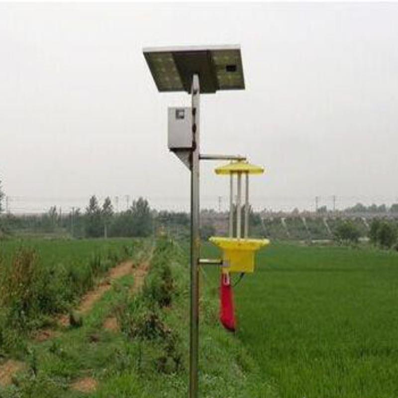 果园稻田太阳能杀虫灯 农业太阳能杀虫灯 农村建设工程灭虫灯