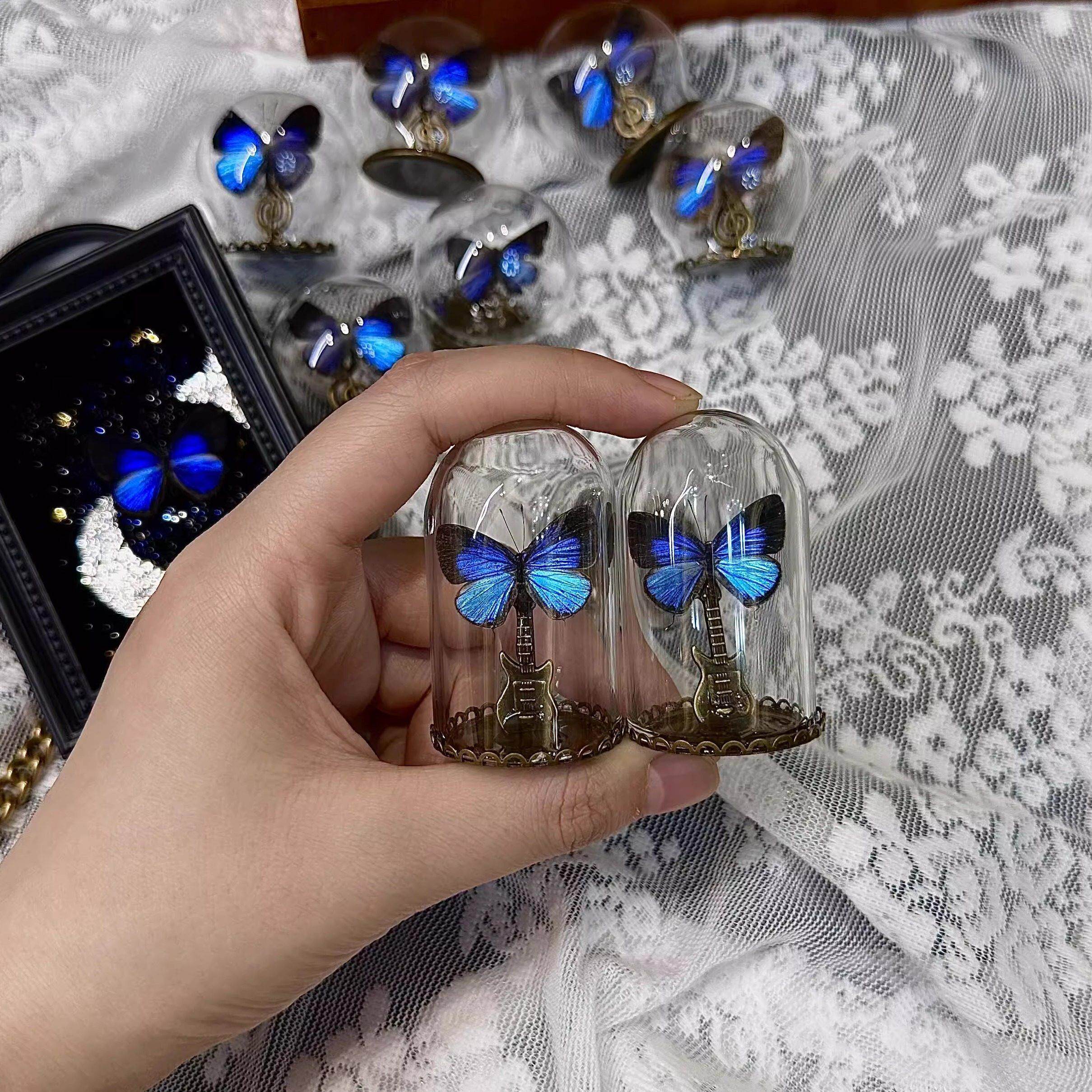 雅灰蝶蝴蝶标本迷你玻璃罩微缩场景桌面摆件昆虫手工女生生日礼物