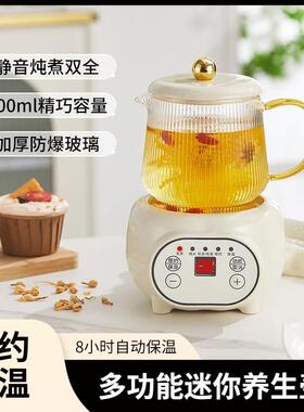 迷你养生壶小型办公室养生杯烧水壶mini小型一人电炖杯单人煮茶壶