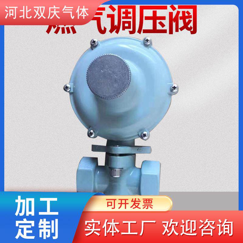 工厂 燃气调压阀 气化器调压器LNG工业管道天然气调压器lng减压阀