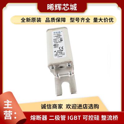 170M2665 170M6346巴斯曼直流快速熔断器电子元器件 库存充足现货
