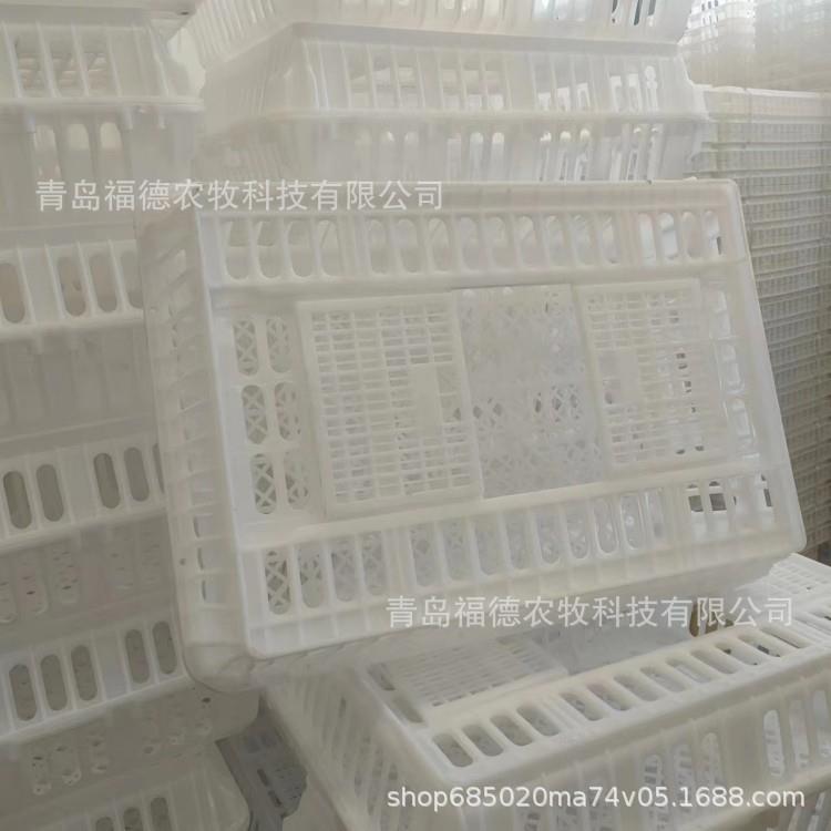 塑料成鸡周转筐 运鸭筐 元宝鸡筐 鸡鸭鹅运输筐 成鸡成鸭运输筐