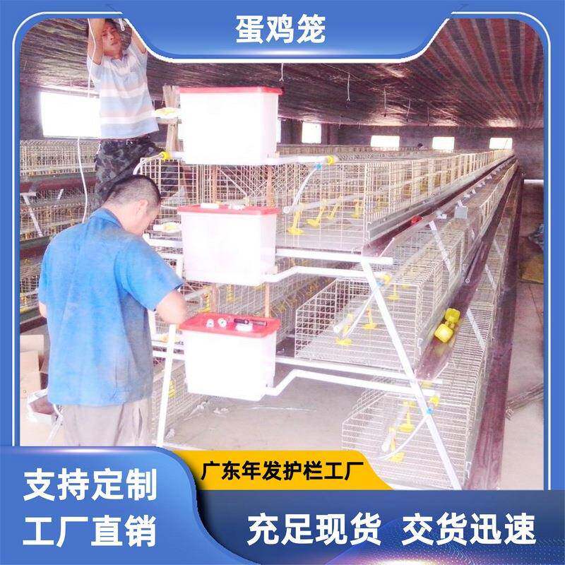 热镀锌三层四门蛋鸡笼养殖场自动养殖蛋鸡笼具方管架子白色食槽