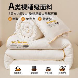 大豆纤维子母被二合一亲肤拉链款被子冬被加厚保暖家用床棉被被芯