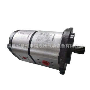 土耳其BLUE AP20.115.CGL01SN油泵 ASCEND齿轮泵AP20.160.CGL01SN