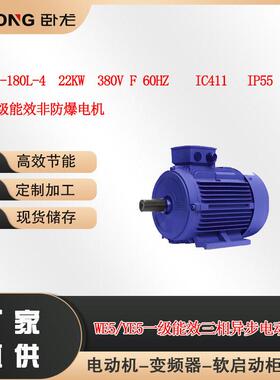 YE5WE5-180L-422W380VF60HZIC411IP55B35