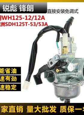 适合本田锋朗WH125-12-5A锋格旗御MCUS新大洲锐彪SDH125-53化油器