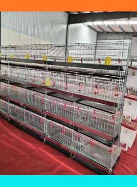 小鸡笼育雏笼四层八门小鸡笼养殖场用育雏笼鸡笼子