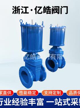 气动软密封闸阀Z645X球墨铸铁暗杆水闸阀气控弹性座封污水法兰闸