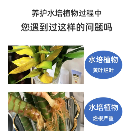 水培植物营养液专用富贵竹绿萝白掌铜钱草蔬菜水养水草通用型生根
