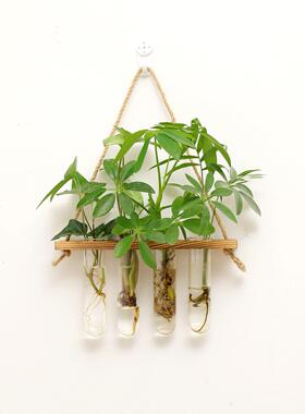 悬挂玻璃试管水培绿色植物花墙面壁挂插花器家居公室园艺花