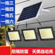 特亮太阳能灯电池大容量家光伏室内阳台新款 花园超亮大功率一拖二