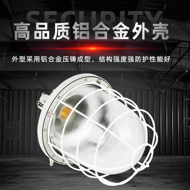 隔爆BCD防爆灯100/125/200/250W矿山工厂仓库节能灯车间用防爆LED