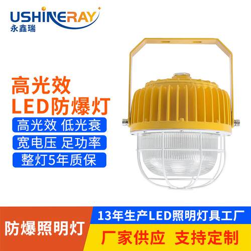 led防爆灯易燃爆化工粉尘工厂房车间仓库工作平台带网工业级防护