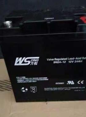 WS万松蓄电池SN17-12消防SN12065电梯12V7a17a24a38a40a65a100ah