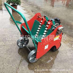 农用手推独蒜种植机单粒蒜瓣播种机大蒜点播机两行种蒜机