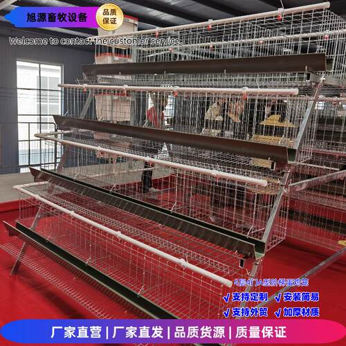 养殖家用阶梯蛋鸡笼四层四门A型笼冷镀/热镀锌工艺养鸡笼