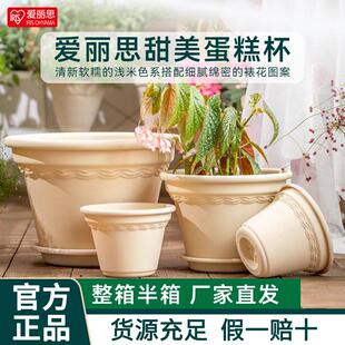 爱丽思蛋糕杯简约控根树脂加仑盆月季绣球绿萝爱丽丝塑料花盆圆形