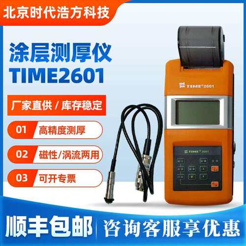 北京时TIME2601分体带打印涂层测厚仪F1磁感应N1电涡流漆膜厚度
