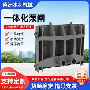 一体化泵闸系统河道防洪排涝闸门智能截流井雨污分流泵闸装置