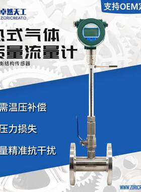 精度热式气体质量流量计管道式法兰连接空气煤气烟道气沼气测量