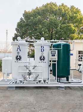 大0型0P70方-93SA制氮机2方制氮设备工业氮食品包装行业制氮出口