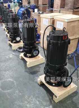 400QWB1700-22-160防爆潜水泵 防爆潜水排污泵BT4/CT4