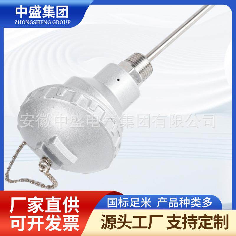铠装热电阻WZPK2-740NML=1650mm法兰160φ20PT100钨钴合金长1.6m