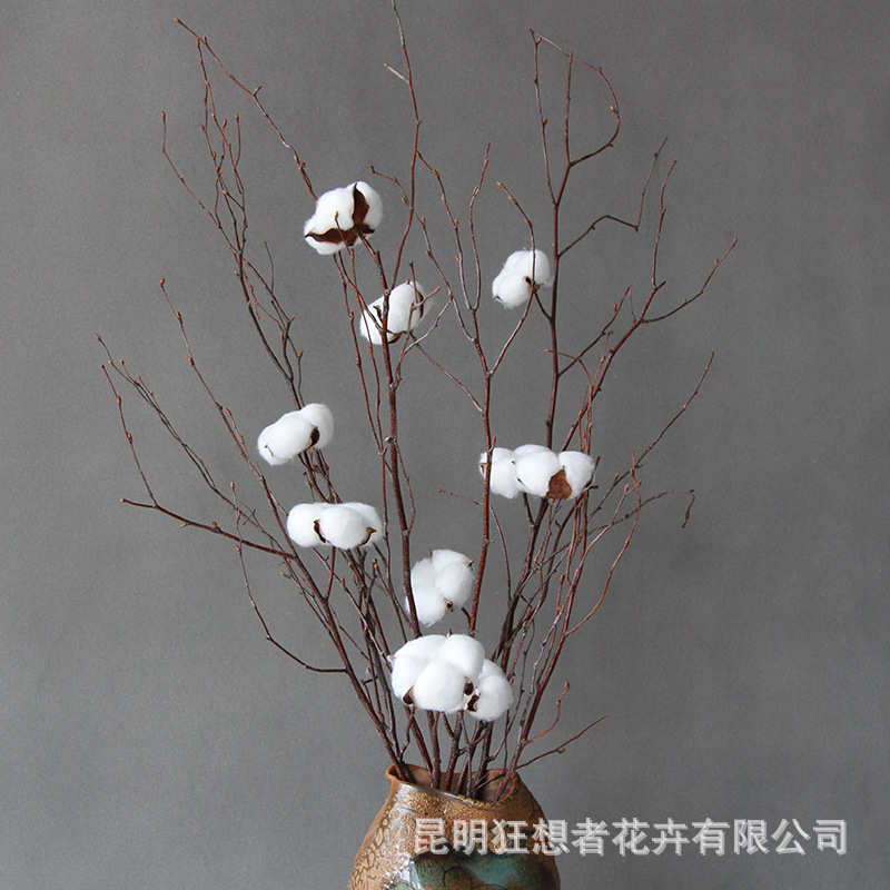 狂想者新品树棉干花天然树枝DIY装饰拍照道具摆设装饰