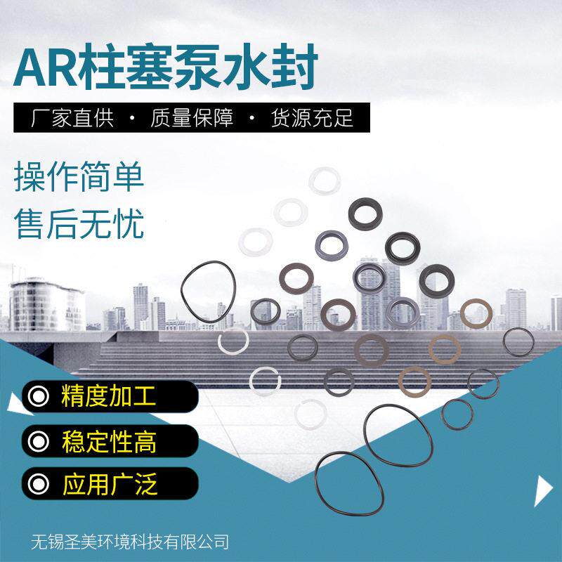压柱塞泵意大利AR泵配件RTP水封42159密封圈