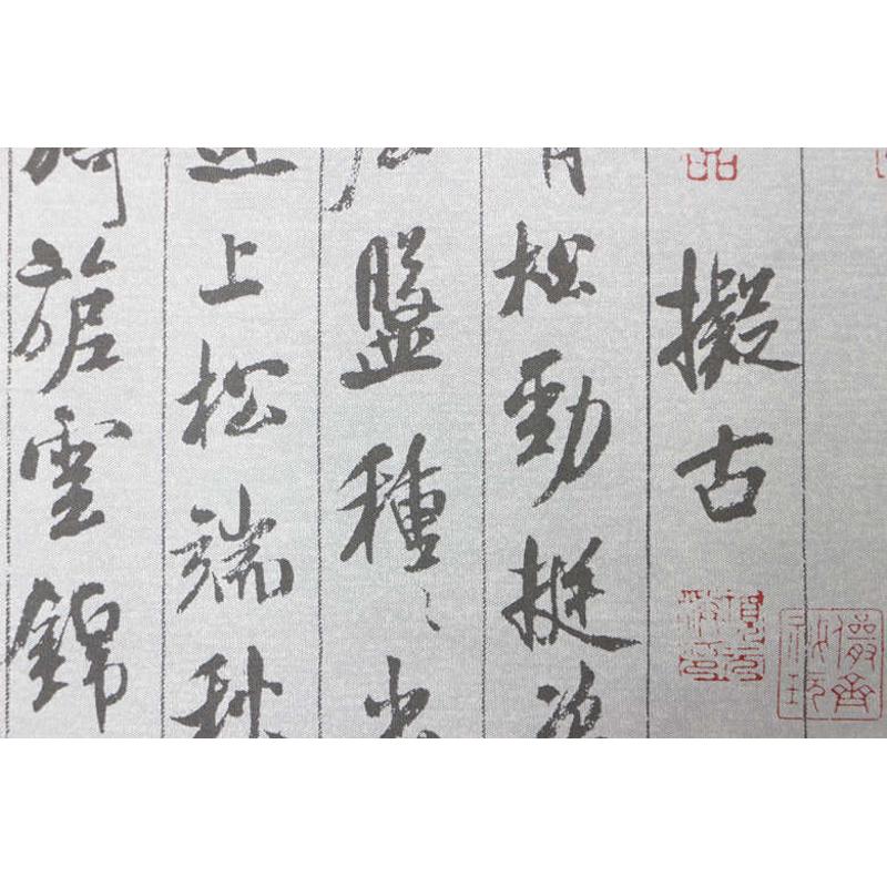 米芾行书 蜀素帖 水写布 清水万次练习毛笔书法仿宣纸免墨汁练字