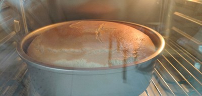 海氏T35蒸烤箱怎么样？体验一个月告诉大家个坏消息