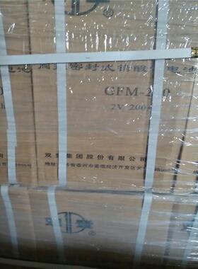 双登蓄电池GFM-300 2V300AH项目电厂使用