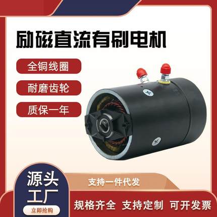 12v1.6w24v2.2w大功率汽车尾板油泵液压动力单元有刷直流电机