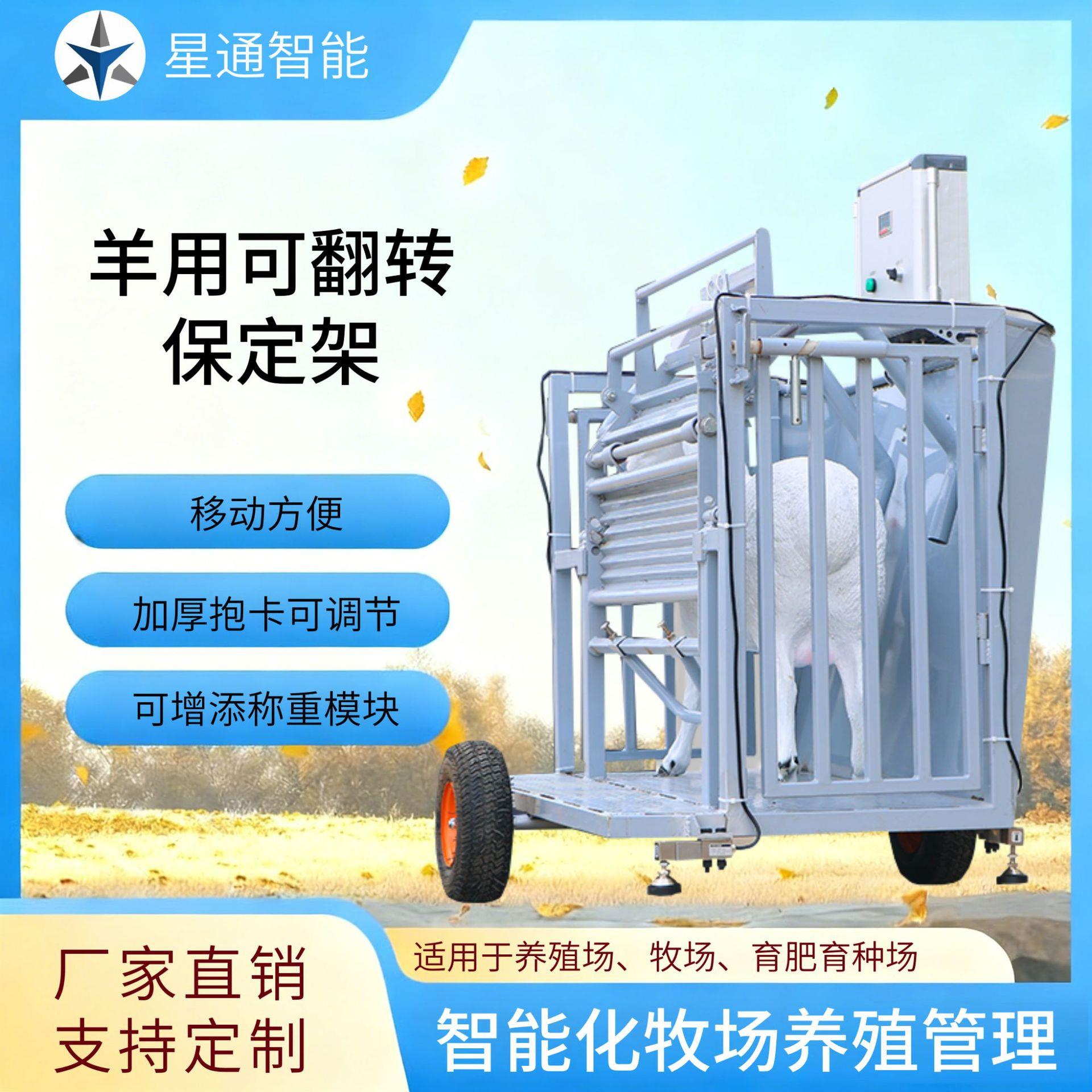 星通智能羊只可翻转保定架加厚可移动可调节抱卡使用方便牢固耐用