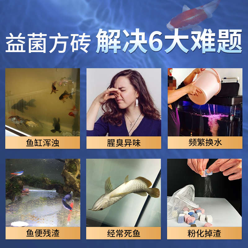 SQG鱼缸过滤滤材3D纳米益生菌方砖净水培菌材料消化细菌屋石英球