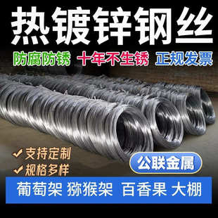 热镀锌钢丝葡萄架钢丝果园搭架用镀锌钢丝圣女果钢丝农业种植钢丝