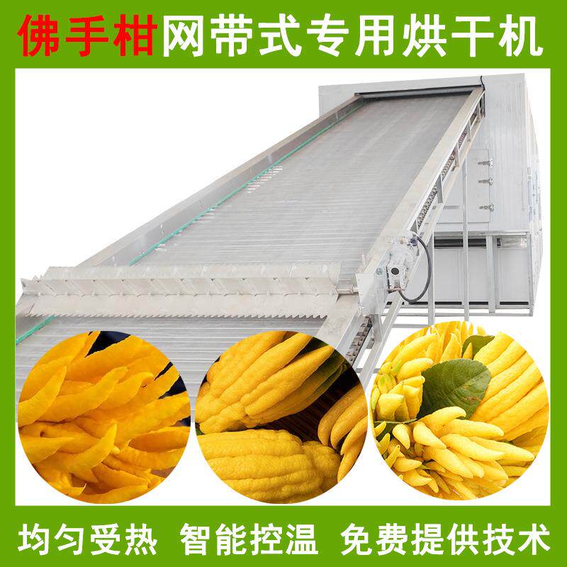 网带式佛手柑烘干机全自动五指柑福寿柑干燥机大型佛手烘干设备